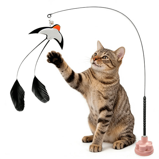 Katzenangelspielzeug